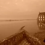 Petit Nid Douillet à Port-bail *